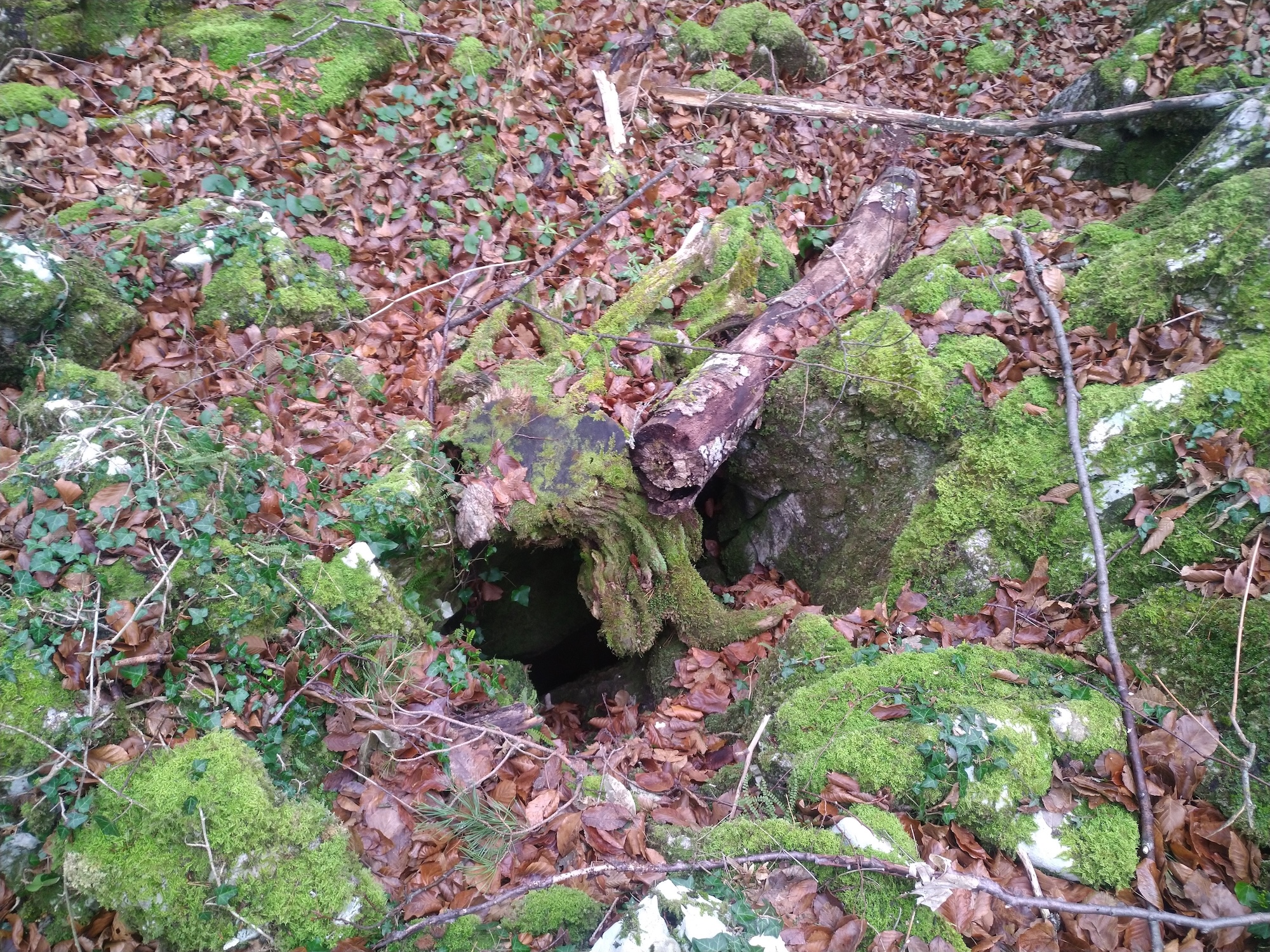 Avenul Infundat - Image 1